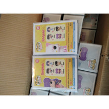 Load image into Gallery viewer, Funko Pop! Ranma 1/2 Shampoo #2028 Chase And Common Bundle + Protectors IN HAND