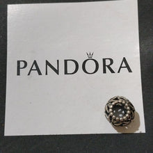Load image into Gallery viewer, Pandora Retired Sterling Silver Wildflower Walk Openworks Bead - 790890