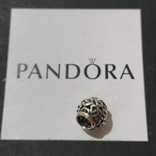 Load image into Gallery viewer, Pandora Retired Sterling Silver Amazing Designer Bead - 790464