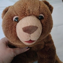 Load image into Gallery viewer, World of Eric Carle Brown Bear & Very Hungry Caterpillar Plush Toys