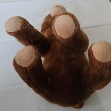 Load image into Gallery viewer, World of Eric Carle Brown Bear & Very Hungry Caterpillar Plush Toys