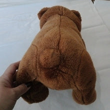 Load image into Gallery viewer, World of Eric Carle Brown Bear & Very Hungry Caterpillar Plush Toys