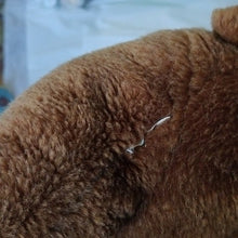 Load image into Gallery viewer, World of Eric Carle Brown Bear & Very Hungry Caterpillar Plush Toys