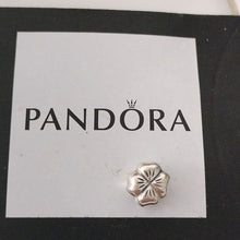 Load image into Gallery viewer, Pandora Sterling Silver 7.0" Snakechain Starter Bracelet w/4-Leaf Clover Charm 790157