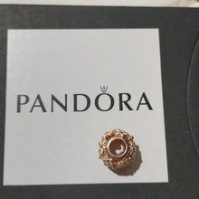Load image into Gallery viewer, Pandora Retired Pandora Rose Darling Daisy Meadow Openwork Charm 780004en12