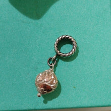 Load image into Gallery viewer, Sterling Silver Key West, MA Rose Gold & RCI Floral European Bracelet Charm Set