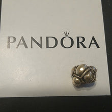 Load image into Gallery viewer, Pandora Journey Patchwork Charm Bead Sterling Silver 790401