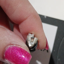 Load image into Gallery viewer, Pandora Sterling Silver Penguin Family Animal Bead 791404en60