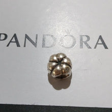 Load image into Gallery viewer, Pandora Retired Sterling Silver Halloween Jack-O-Lantern Pumpkin Bead - 790393