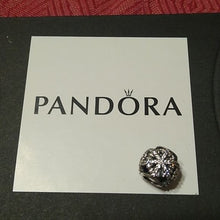 Load image into Gallery viewer, Pandora 2013 Black Friday LE Let It Snow Charm Sterling Silver 791200