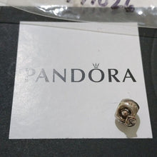 Load image into Gallery viewer, Pandora Retired Sterling Silver 14k gold Education Apple of my Eye Charm-791026