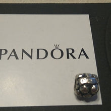 Load image into Gallery viewer, Pandora Love & Family Charm 791039 Sterling Silver ALE 925