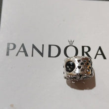 Load image into Gallery viewer, Pandora Petals of Love Sterling Silver Charm 791808cz