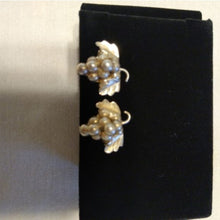 Load image into Gallery viewer, Vintage 1940s Sterling Silver Grape Bunch Brooch and Screw back earrings Set