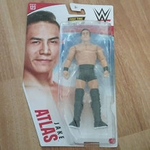 Load image into Gallery viewer, WWE Wrestlers Action Figures Set of 8 Basic + NXTs, Guys + Gals set