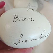 Load image into Gallery viewer, Decorative Bird Nest with 3 Painted Eggs