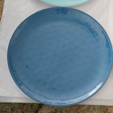 Load image into Gallery viewer, Melamine Sea Life Dinner Plates, set of 4