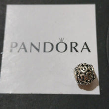 Load image into Gallery viewer, Pandora Retired Sterling Silver Amazing Designer Bead - 790464
