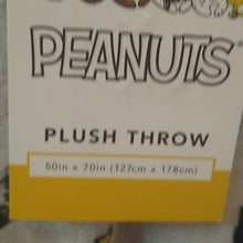 Load image into Gallery viewer, Berkshire Peanuts Halloween Lucy Charlie Brown Woodstock Plush Throw
