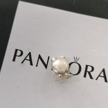 Load image into Gallery viewer, Pandora 790247 Sterling Silver Froggie Charm
