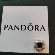 Load image into Gallery viewer, Pandora 790401 Journey Patchwork Charm Bead Sterling Silver ALE
