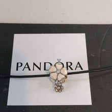 Load image into Gallery viewer, Pandora Sterling Silver Poetic Blooms Apple Blossom Charm 791827en40
