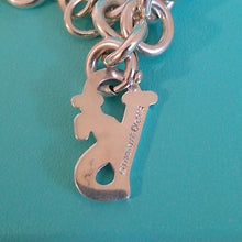 Load image into Gallery viewer, Tiffany &amp; Co. x Victoria's Secret Exclusive Link 7" Bracelet 925 Sterling Silver
