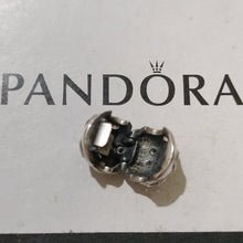 Load image into Gallery viewer, Pandora Sterling Silver Dazzling Daisies Clip with Clear Zirconia - 791493cz
