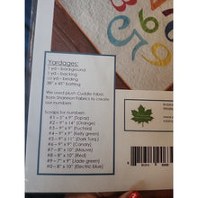 Load image into Gallery viewer, Playing With Numbers Quilt Pattern Robinson Co.
