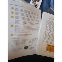 Load image into Gallery viewer, Playing With Numbers Quilt Pattern Robinson Co.
