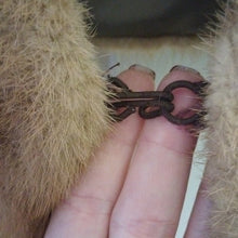 Load image into Gallery viewer, Vintage 3/4 Natural Fur Stole by Younger's Louisville, Blonde
