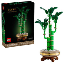 Load image into Gallery viewer, LEGO Botanicals: Lucky Bamboo (10344)
