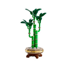 Load image into Gallery viewer, LEGO Botanicals: Lucky Bamboo (10344)
