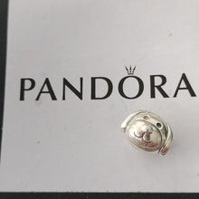 Load image into Gallery viewer, Pandora Retired Sterling Silver Devoted Dog Animal Charm - 791707
