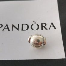 Load image into Gallery viewer, Pandora Retired Sterling Silver Devoted Dog Animal Charm - 791707
