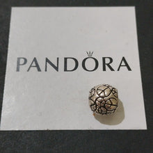 Load image into Gallery viewer, Pandora Retired Sterling Silver World Peace Bead - 790899
