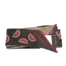 Load image into Gallery viewer, Coach Signature Watermelon Silk Skinny Scarf Twilly, Navy/Red
