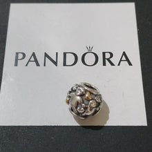 Load image into Gallery viewer, Pandora Retired Sterling Silver and 14K Gold Family Forever Charm - 791040
