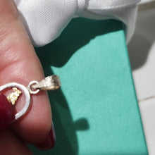 Load image into Gallery viewer, Egyptian Hieroglyphs ALEXA name Cartouche Pendant Sterling Silver &amp; 14k
