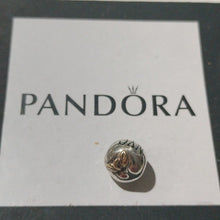 Load image into Gallery viewer, Pandora Silver Engraved New York City NYC Apple Charm 791026
