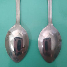 Load image into Gallery viewer, Vintage State of Virginia + Skyline Drive Shenandoah Nat&#39;l Park Souvenir Spoons
